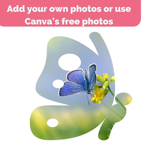 25 Custom-Made butterflies Canva Frames - KY designX